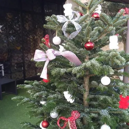 Ferienhaus Auvergnat'home *