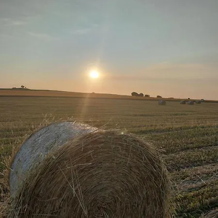 Auvergnat'home Chaptuzat