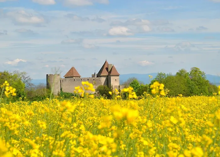Auvergnat'home Prázdninový dům Chaptuzat